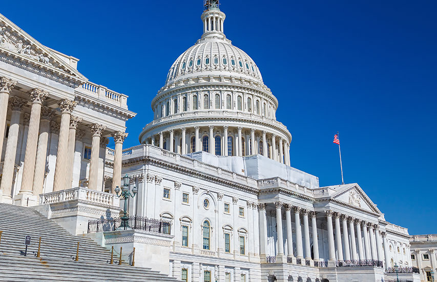 The Capitol Building in Washington, D.C.