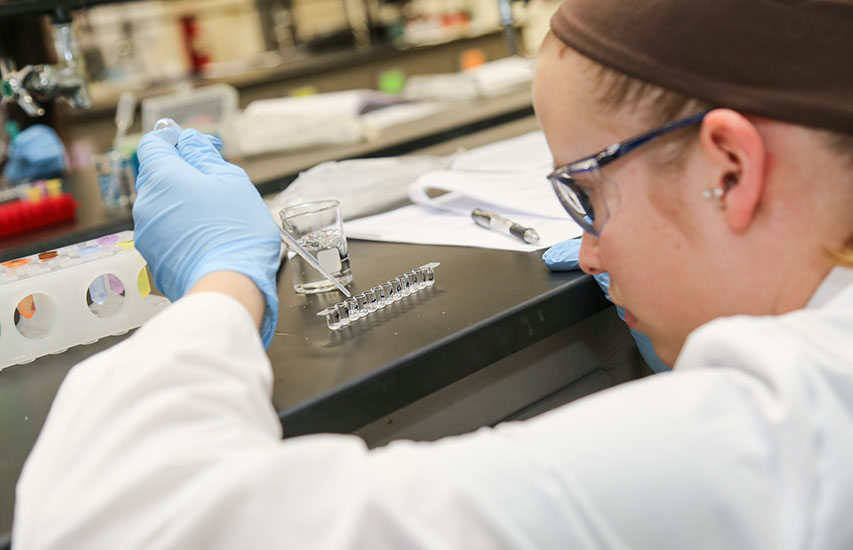 Student pursuing a Biochemistry degree at Curry College conducts an experiment in the lab