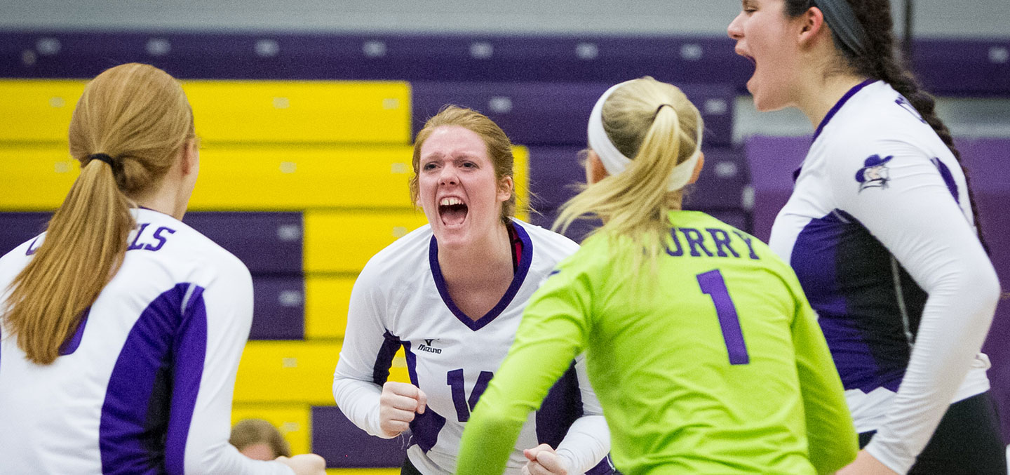 Curry College Women's Volleyball players celebrate a point