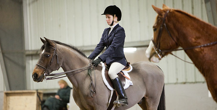 A Curry College Equestrain rider on a horse during competition